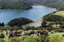 Okiwi School children visiting Sven to participate in the harvesting of the kanuka